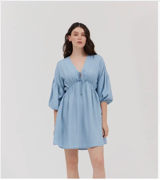 Chambray Mini Dress
